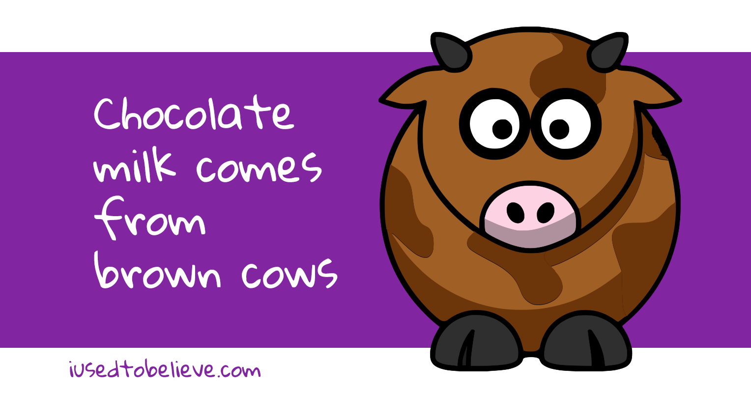 chocolate milk cows
